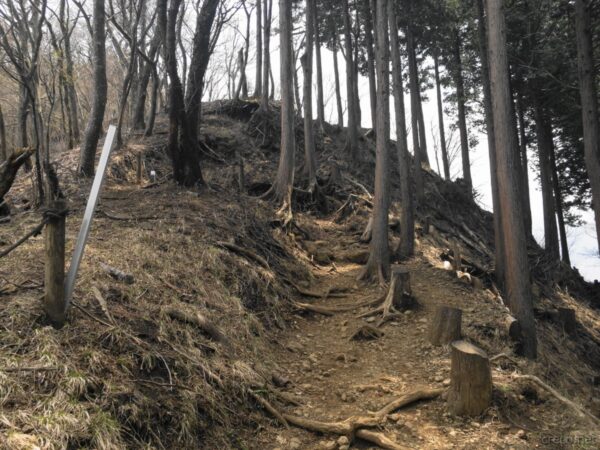 登山道