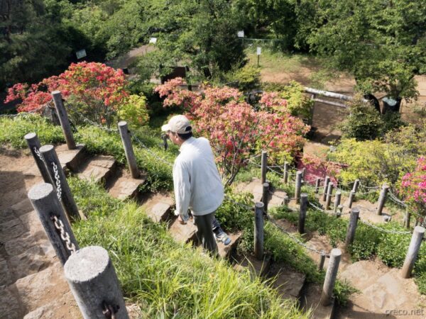 荒幡富士の登山道