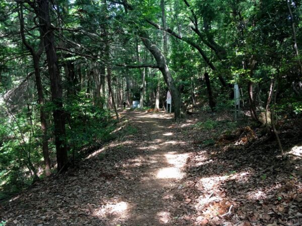 赤根峠手前の柏木山登山道