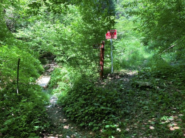 大滝への登山道