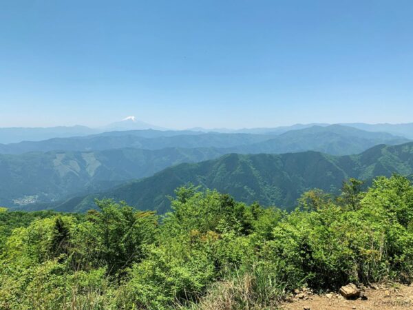 大岳山からの眺め