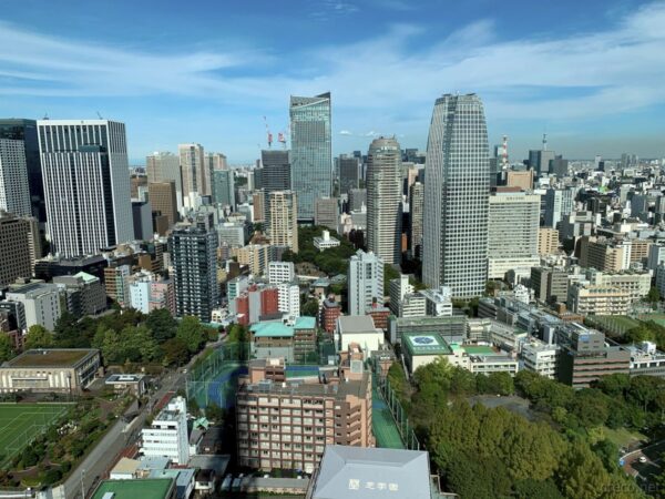 東京タワーからの景色