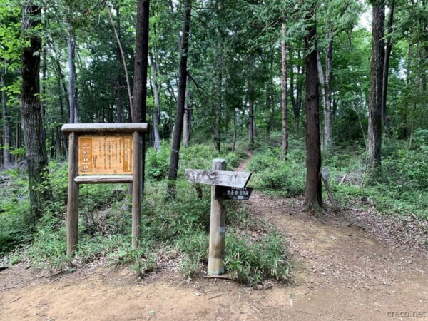 天覧山と多峯主山の分岐