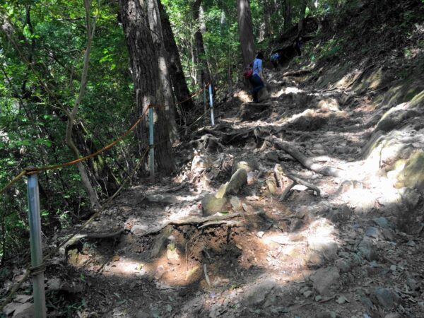 高尾山 病院コース