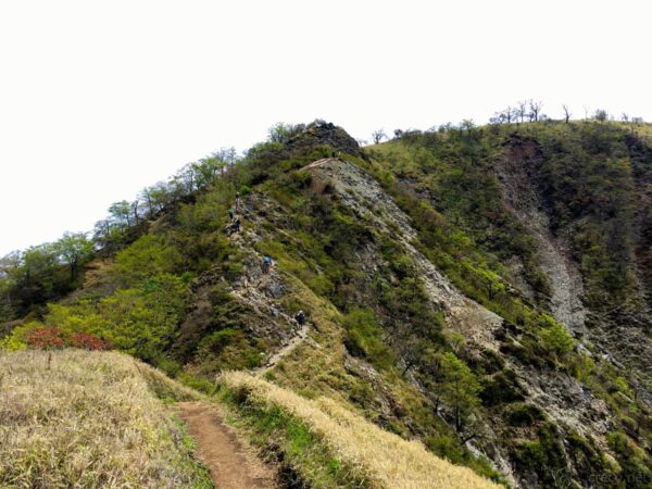 蛭ヶ岳と丹沢山の間の稜線