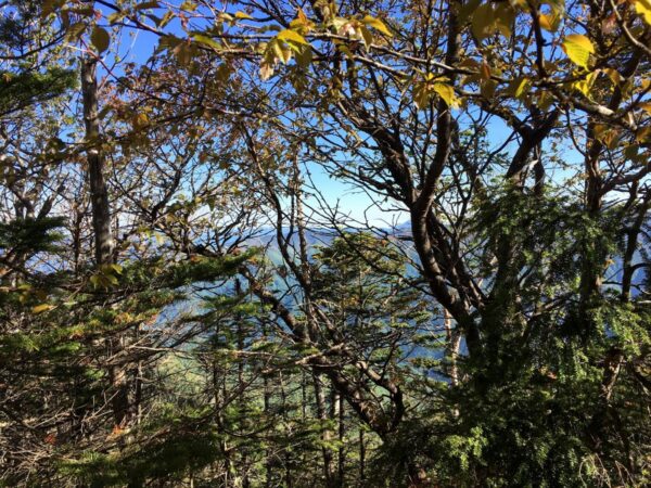 皇海山からの景色