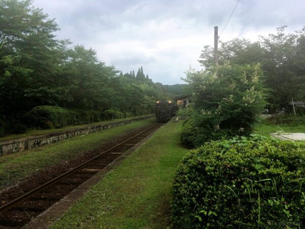 特急はやとの風