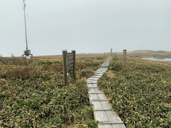 平ヶ岳の最高地点