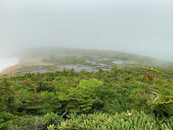 玉子石の奥にある地塘群