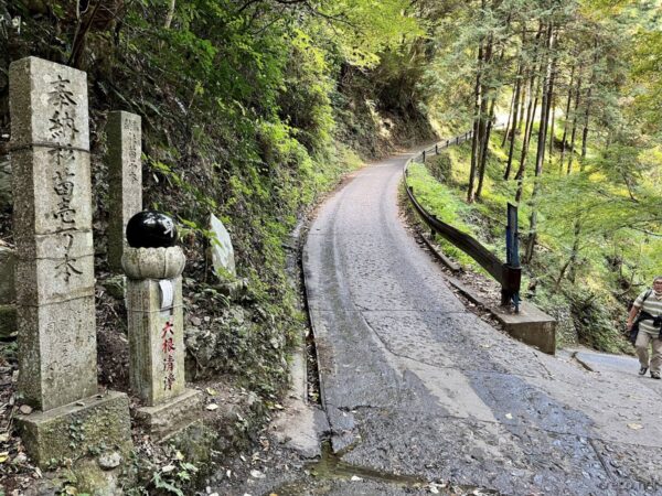 中盤は急坂になる