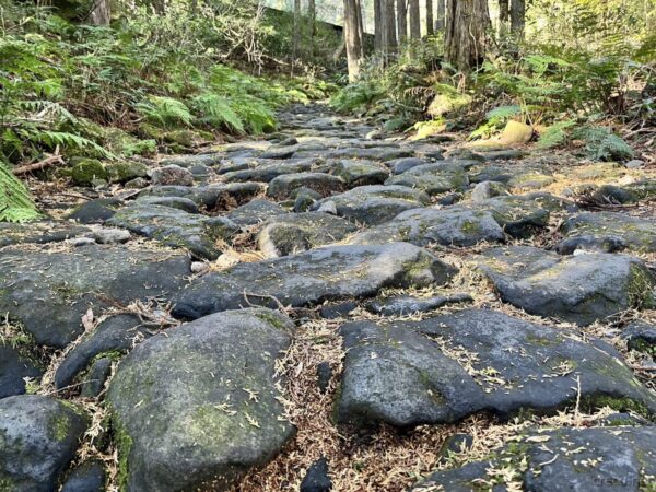 箱根旧街道の石畳