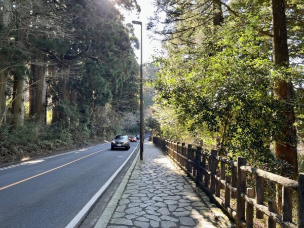 箱根宿の杉並木