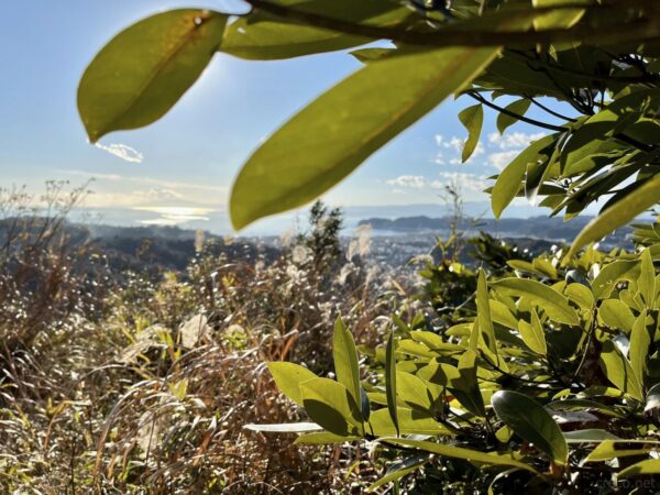 衣張山からの眺め