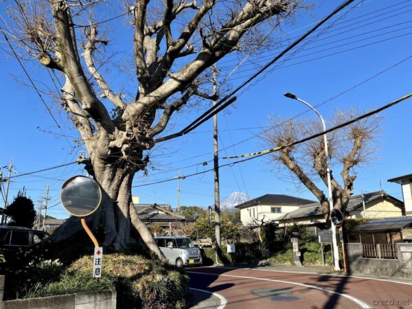 岩渕の一里塚