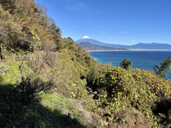薩埵峠から富士山の眺め