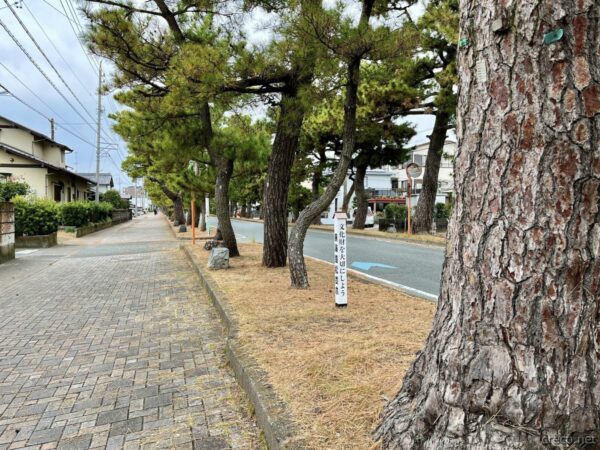 旧東海道舞阪宿松並木