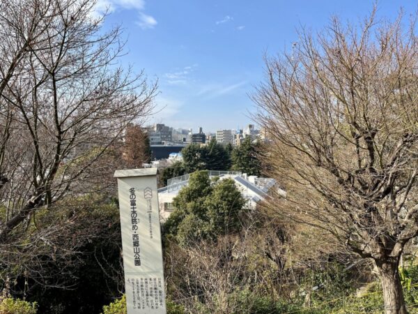 西郷山公園からの眺め