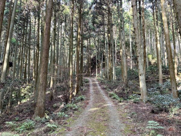 鈴鹿峠への道