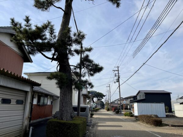 大野の旧東海道松並木