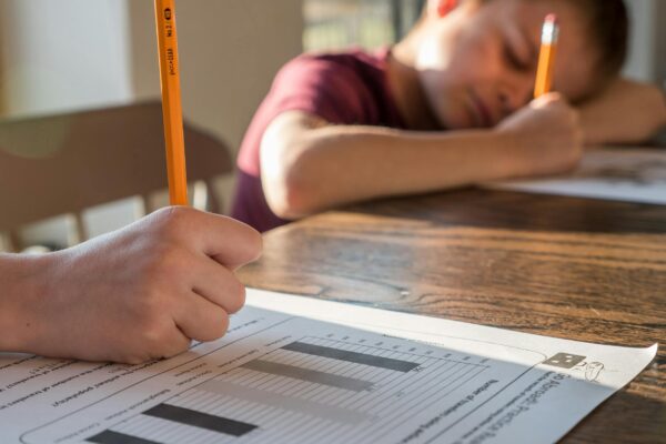 kids doing homework exercise at home