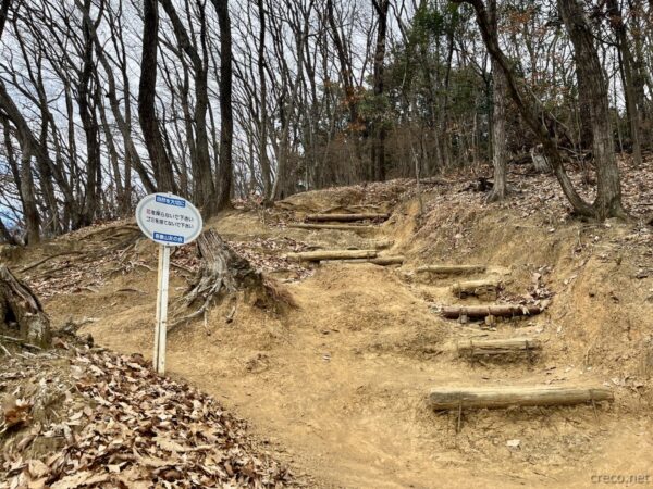 登山道はよく整備されている