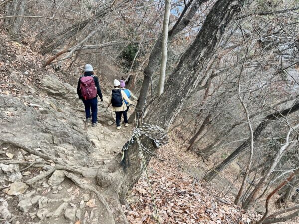 吾妻山から下山
