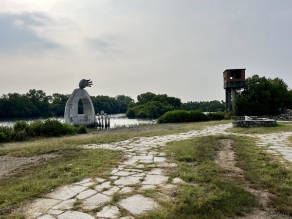 鵬村湿地公園のマングローブ