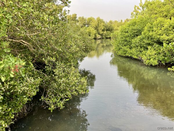 鵬村湿地公園の風景