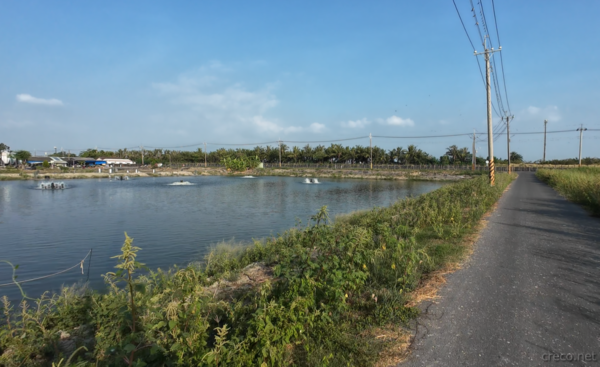 台南の養魚池と水車