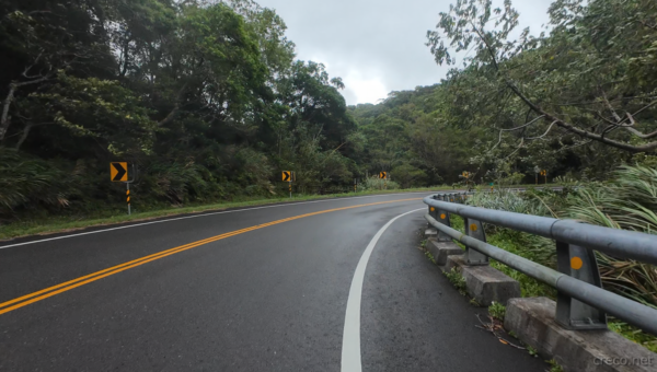 ダウンヒルだがスピードは出せない