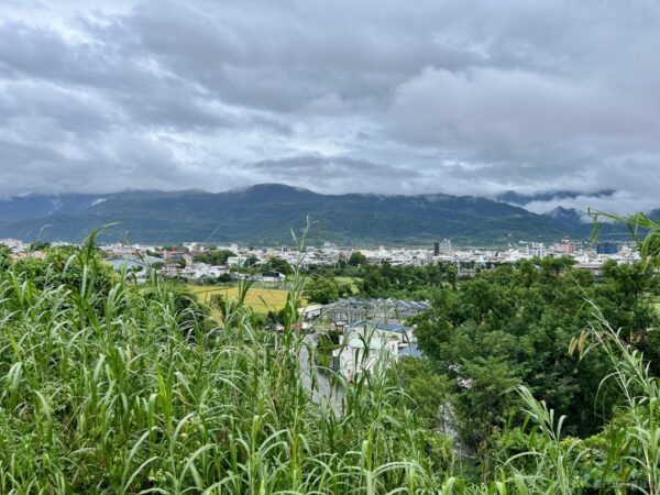 玉里神社の高台から玉里の街を一望