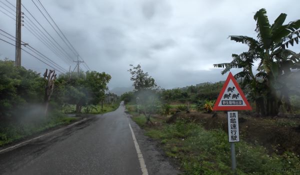 路面状況の悪い迂回路