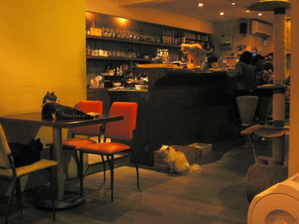 2008年の極簡咖啡 バーカウンター