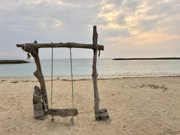流木ブランコ
