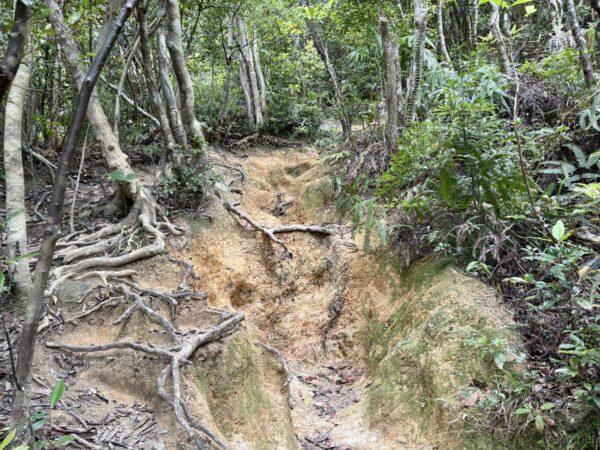 深くえぐれた赤土の登山路