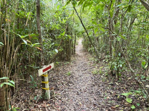 山頂直下の赤い矢印