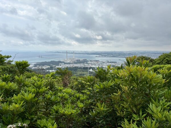 山頂からの眺望（金武湾）