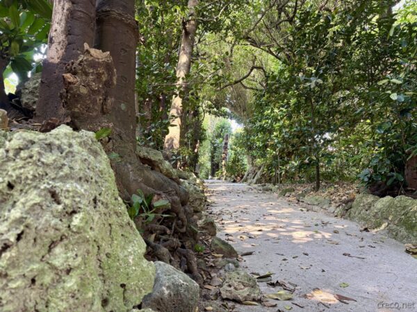 備瀬フクギ並木の白砂の細道。石垣と福木の木の根が並ぶ、昔ながらの沖縄集落の原風景と散策路。