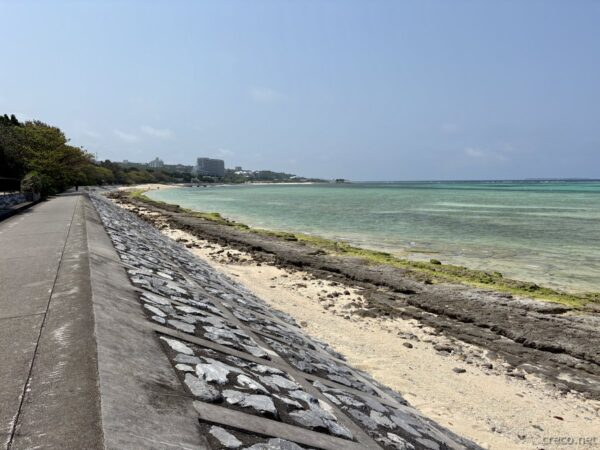 備瀬集落の海沿いプロムナード。石垣に覆われた護岸道と遠くのリゾートホテル、午前中のフクギ並木周辺の海岸。