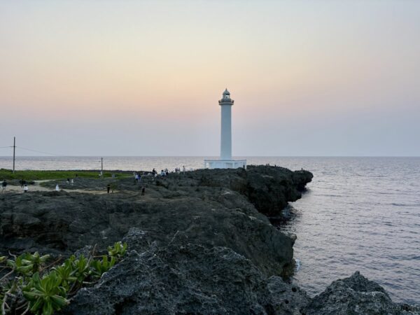 残波岬の岩場と咲く植物のクローズアップ。夕日に輝く岩礁と緑のアダン、沖縄の海岸植生と灯台のある景色。
