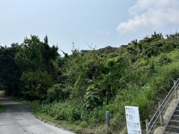 浦添城跡の登城路と案内看板。赤土の小道と緑の雑木林、戦跡と世界遺産候補のグスク巡りの途中。