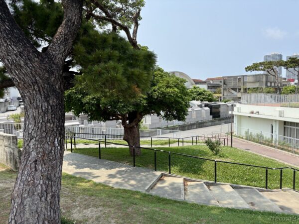 嘉数高台展望台の松並木と墓苑の眺望。琉球松越しに見える沖縄式亀甲墓群、日常と戦跡が隣接する宜野湾の風景。