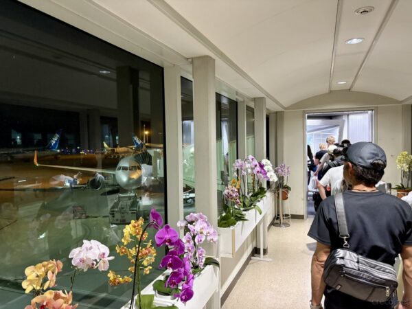 那覇空港の搭乗口通路と夜の駐機場。コチョウランの花が並ぶ窓辺越しに駐機中のANA機、沖縄らしい花の装飾。