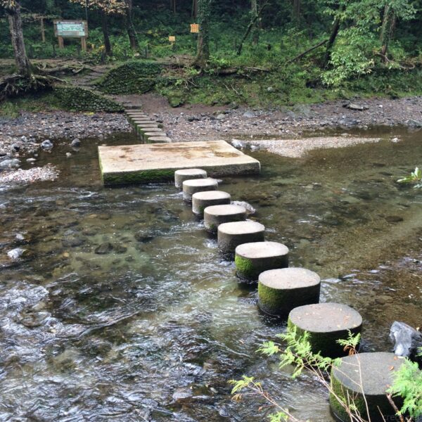 吾妻峡のドレミファ橋、川面に並ぶ円柱の飛び石と苔むした護岸