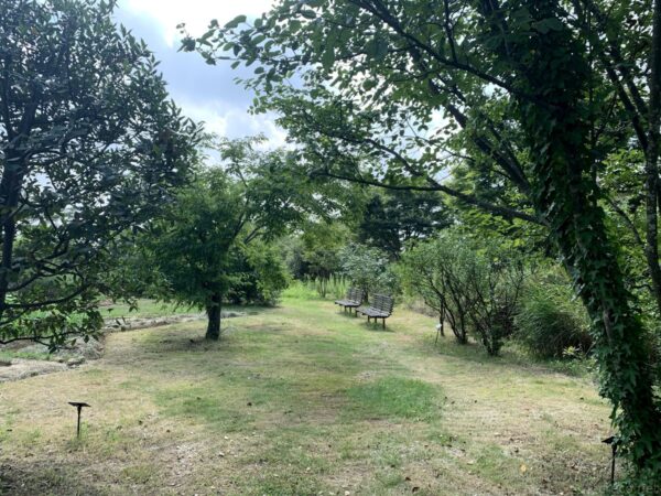 美杉台 見晴らし公園、緑の中の散策路とベンチ