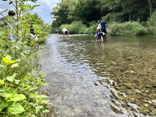 東久留米・落合川の清流、透明な水と川底の小石、岸辺の青々とした草、川に入って生き物を探す親子連れ