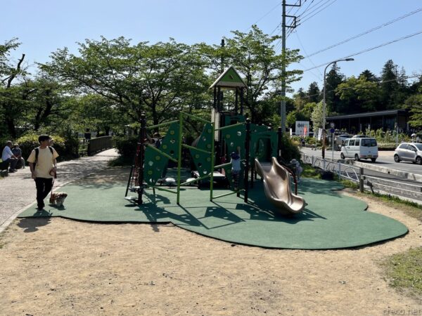 飯能中央公園のリニューアル後の遊具、緑のすべり台付き複合遊具