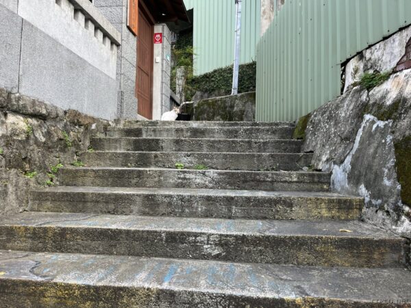 淡水の古い石階段に座る白猫