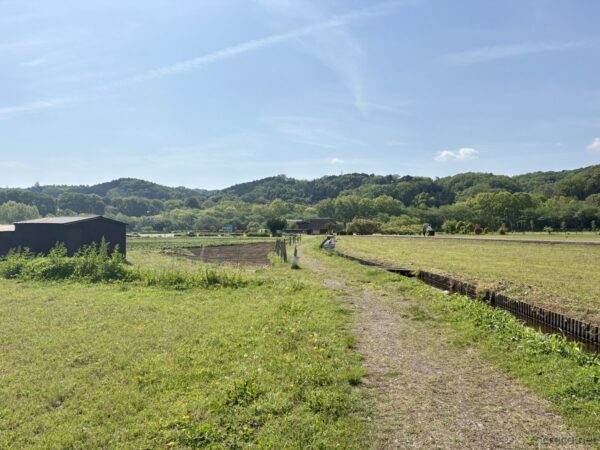 巾着田の中を斜めに横断。シーズンオフの静かな園内を通り抜ける。