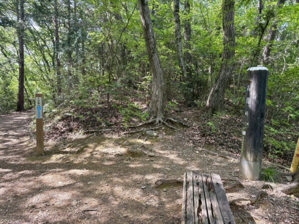 高麗峠。ここから先は歩いたことある道。